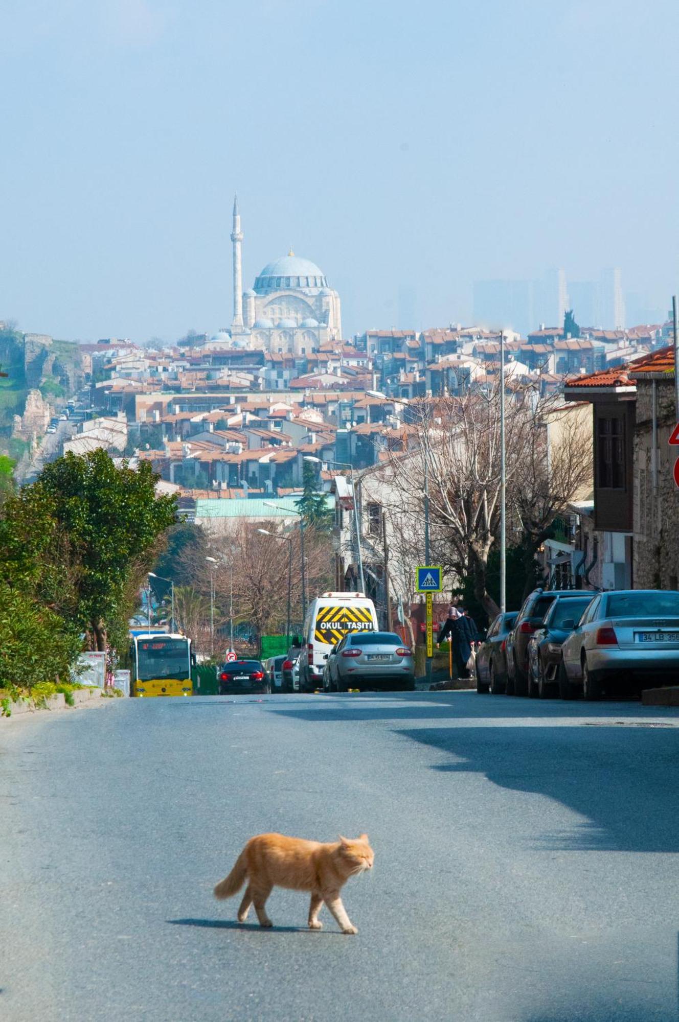 Istanbul Efes Hotel Eksteriør billede